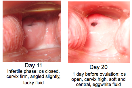 Cum Inside During Period 60