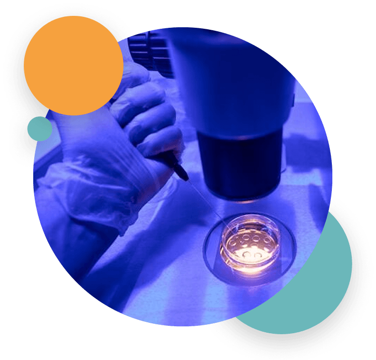 Assisted Fertility Guide