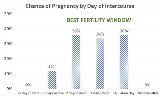 Fertile window for four age groups. Probability of conception is